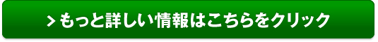 アウトドア体験 キャニオンズ販売サイトへ